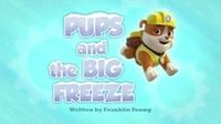 Pups and the Big Freeze