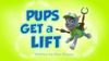 Pups Get a Lift