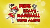 Pups Leave Marshall Home Alone