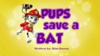 Pups Save a Bat