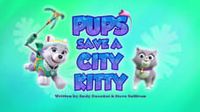 Pups Save a City Kitty
