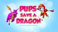 Pups Save a Dragon