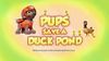 Pups Save a Duck Pond