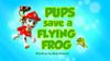 Pups Save a Flying Frog