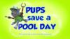 Pups Save a Pool Day