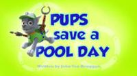 Pups Save a Pool Day