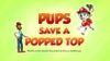 Pups Save a Popped Top