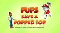 Pups Save a Popped Top