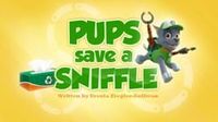 Pups Save a Sniffle