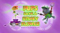 Pups Save a Stinky Flower
