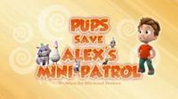 Pups Save Alex's Mini-Patrol