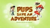 Pups Save an Adventure