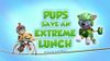 Pups Save an Extreme Lunch