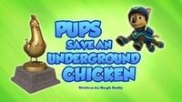 Pups Save an Underground Chicken