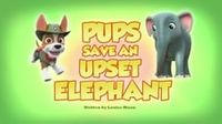 Pups Save an Upset Elephant