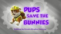 Pups Save the Bunnies
