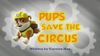 Pups Save the Circus