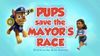 Pups Save the Mayor's Race