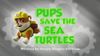 Pups Save the Sea Turtles