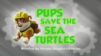 Pups Save the Sea Turtles