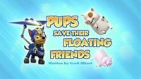 Pups Save Their Floating Friends