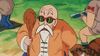 Roshi Surprise