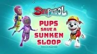 Sea Patrol: Pups Save the Sunken Sloop