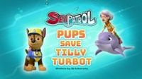 Sea Patrol: Pups Save Tilly Turbot