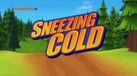 Sneezing Cold