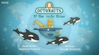 The Arctic Orcas