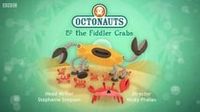 The Fiddler Crabs