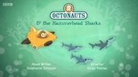 The Hammerhead Sharks