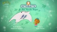 The Manta Rays