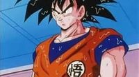 The Renewed Goku
