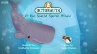 The Scared Sperm Whale