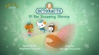 The Snapping Shrimp