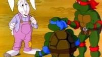 The Turtles and the Hare