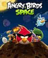 Angry Birds Space