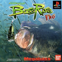 Bass Rise