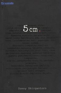 5 cm