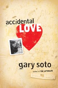 Accidental Love