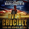 Ava's Crucible: Book One - Divided ...