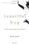 Beautiful Boy: A Father's Journey Through His Son's Addiction