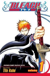 Bleach, Volume 01