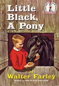 Little Black, a Pony