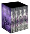 New England Witch Chronicles Boxed Set