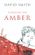 Searching for Amber