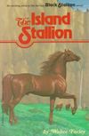 The Island Stallion