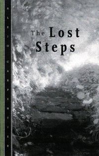 The Lost Steps