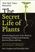 The Secret Life of Plants: A Fascinating Account of the Physical, Emotional and Spiritual Relations Between Plants and Man